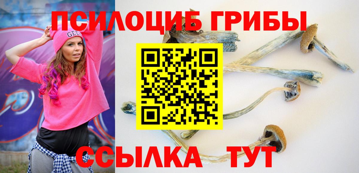 Галлюциногенные грибы мухоморы  Вход с VPN  Псилоцибиновые грибы Psilocybine cubensis  Назрань 