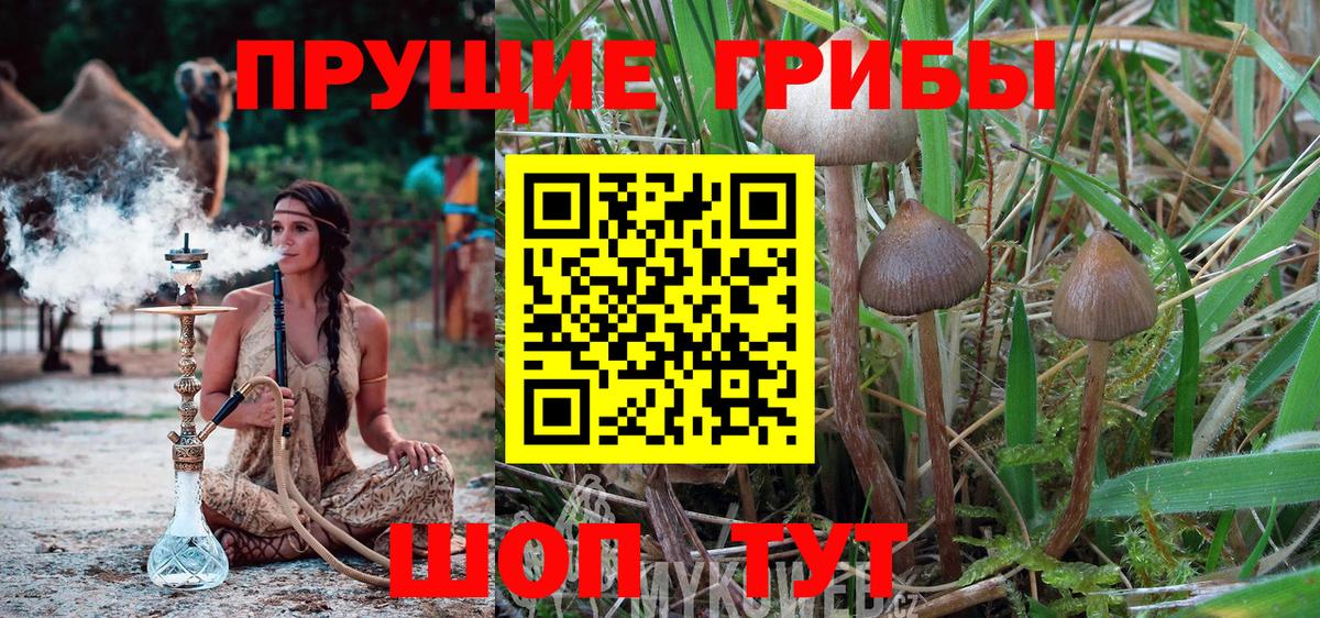 Псилоцибиновые грибы прущие грибы Назрань