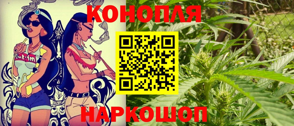 Конопля план  Каннабис THC 21%  Вход с VPN  Каннабис семена  Назрань 